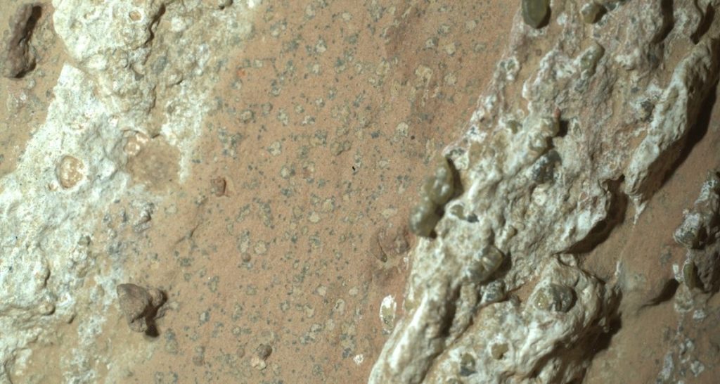 El rover Perseverance de la NASA descubrió manchas de leopardo en una roca rojiza apodada