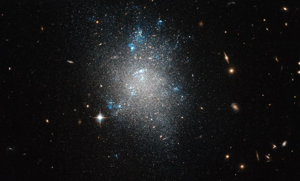 En la constelación de la Osa Mayor, la Galaxia del Molinete (Messier 101) está rodeada de compañeras más pequeñas, incluida la galaxia enana irregular NGC 5477. Las observaciones del Hubble revelan regiones de formación estelar activa dentro de NGC 5477, al tiempo que capturan galaxias distantes que brillan a través de ella, lo que pone de manifiesto el vasto vacío dentro de las estructuras galácticas. Crédito: ESA/Hubble y NASA